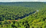 Misiones: Avanza el proyecto ambiental que fortalece el Corredor Verde y la producción sostenible en la Provincia