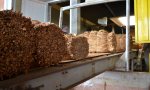 Misiones cierra la actual campaña tabacalera con más de 33 millones de kilos acopiados