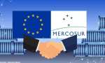 Acuerdo UE-Mercosur: Impacto en Misiones 
