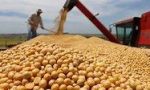 El Gobierno cerró las exportaciones de harina y aceite de soja: se espera una suba de las retenciones.