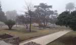 Laboulaye: despejado con niebla temperatura 6.4°C a las 8 de la mañana.