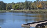 Laboulaye: Se encontraron peces muertos en el Lago.
