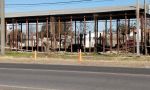 Laboulaye: Hallaron sin vida a una chica de 15 años.