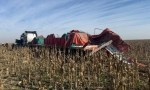 Fin de semana trágico en rutas: son siete los muertos en distintos accidentes