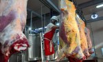 La carne sube $500 tras las últimas subas en el Mercado de Hacienda en Jesús María.