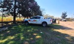 Clausuraron un frigorífico por faena clandestina y falta de condiciones sanitarias.