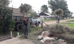 Laboulaye: Nuevo sistema de recolección de restos verdes y de poda.