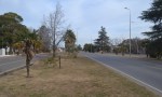  El tiempo para hoy lunes 16 de junio 2025