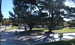 Sol y tardes de primavera: el tiempo para el fin de semana del Día del Amigo