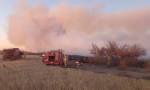 Del Campillo: incendió forestal