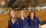 Emprendedoras: son veterinarias y revolucionan con una innovadora técnica la reproducción de caballos en la Argentina