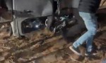 Chocaron un jabali cerca de Valeria 