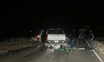 Accidente con un vacuno en ruta 26: Los ocupantes de la camioneta son policias y resultaron ilesos