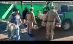 SECUESTRAN AVES DE DISTINTAS ESPECIES EN CALAMUCHITA 