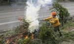 Habilitan la temporada para realizar quemas controladas