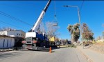 Huincul : Cortan la calle 9 de Julio por tareas de poda.