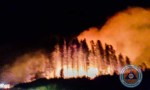 Incendio- Estancia Cerro los Pinos, en cercanías de Junín de los Andes.