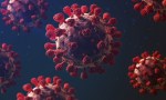 Coronavirus en Argentina hoy fueron reportados 179 muertes y 41.978 nuevos casos 