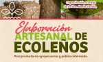 CAPACITACIÓN GRATUITA EN ELABORACIÓN ARTESANAL DE ECOLEÑOS