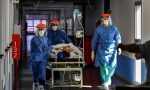 Coronavirus en Argentina hoy fueron reportados 77.729 contagios y 334 muertes
