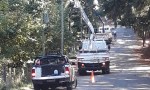Concluyó el operativo de poda en Villa La Angostura
