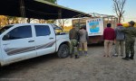 TRES DETENIDOS POR ABIGEATO EN SAUCE