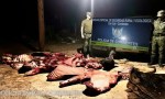 SECUESTRAN CARNE DE BÚFALO FAENADO ILEGALMENTE