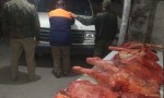 SECUESTRAN 250 KILOS DE CARNE TRANSPORTADA ILEGALMENTE