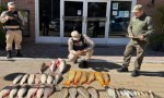 SECUESTRAN CARGAMENTO DE PESCADO TRANSPORTADO EN CANOA