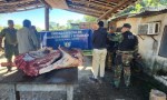 INTERCEPTAN CAMIONETA CON CARNE DE FAENA CLANDESTINA