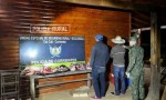 DOS DETENIDOS POR TRANSPORTAR CARNE DE DUDOSA PROCEDENCIA