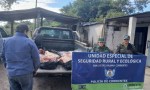SECUESTRAN EN RIACHUELO UN ANIMAL BOVINO FAENADO ILEGALMENTE