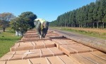 INCAUTAN 21 TONELADAS DE TABACO TRANSPORTADO ILEGALMENTE