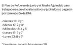 SE ANUNCIÓ EL PAGO DEL MEDIO AGUINALDO Y PLUS DE REFUERZO