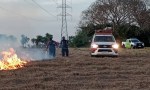 NUMEROSOS INCENDIOS SE PROPAGARON A CAUSA DEL VIENTO