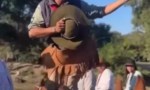 ES DE MBURUCUYÁ EL JINETE QUE ZAPATEÓ SOBRE EL LOMO DE UN CABALLO