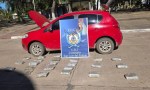 INCAUTARON 24 KILOS DE MARIHUANA EN SAN LUIS DEL PALMAR