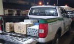IMPIDIERON LA ENTRADA IRREGULAR DE AVES EXÓTICAS AL PAÍS