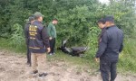 RECUPERAN EN SAN LUIS DEL PALMAR MOTO ROBADA EN CORRIENTES