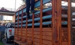 SECUESTRAN EN EL PUENTE BELGRANO CABALLOS TRANSPORTADOS ILEGALMENTE