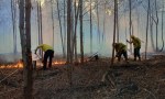 DOS DETENIDOS POR INICIAR UN INCENDIO CERCA DE CAROLINA