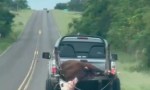 DETENIDO POR TRANSPORTAR UN VACUNO FAENADO