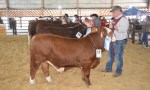 SE ABRIÓ LA 89° EXPO RURAL DE CORRIENTES
