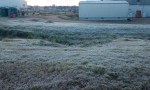POR LA OLA DE FRIO POLAR SE REGISTRARON HELADAS EN CORRIENTES