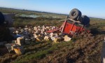 ACOPLADO DE CAMIÓN SE DESPRENDE Y VUELCA SOBRE LA RN12