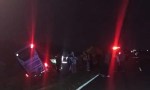 COLECTIVO DE LARGA DISTANCIA EMBISTIÓ UN BÚFALO SOBRE LA RN118