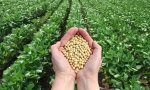 Productores del NOA cuestionan y rechazan el regreso de las retenciones
