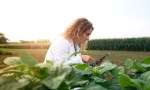 La digitalización redefine la rentabilidad del agro: Agrospot impulsa un nuevo modelo comercial para productores y compradores