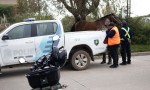 El Municipio firmó un convenio con una ONG para transferir los caballos secuestrados en la vía pública