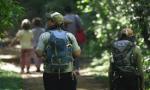 Alerta en Cataratas por la desregulación: no va a ser obligatorio contratar Guías de Turismo en los Parques Nacionales